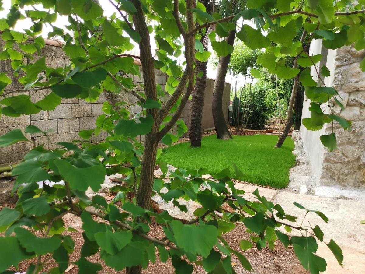 Ginko House Lägenhet Opatija Exteriör bild